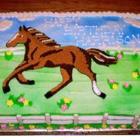 Pony Cake Sheet Cake w/ BC icing, the flowers and fence posts are made ofroyal icing. I used the invitation as a guide. All my 3 yr old neice...