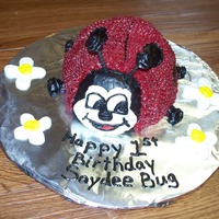 Lady Bug 1st Birthday Lady Bug smash cake