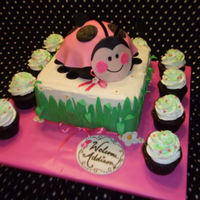 Ladybug Baby Shower Cake This was based on a super cute cake I found on here made by SweetPea0613. The tableware was ladybug, ladybug oh so sweet for a 1st bday but...