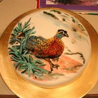 Pheasant Cake Hand painted cake of an argus pheasant. I kept the food coloring very runny to get the watercolor look. I highlighted with colored frosting...