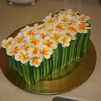 Plumeria Cake2 Second picture of plumeria cake. Top view. Took hours to make all the bamboo and plumeria flowers, but I think it looks great! Cake is...