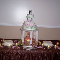 My First Wedding Cake Briauna and Dennis WeddingAfter taking only one class I decided to do my daughters wedding and grooms cake, and here are the pictures....