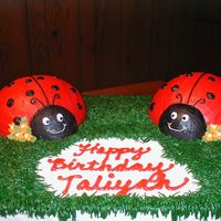 Ladybug_1Stbday Vanilla cake w/buttercream icing.