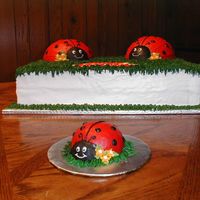 Ladybug_1Stbday_2 Vanilla cake w/buttercream icing