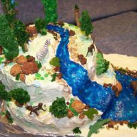 Wildlife Reserve I placed a Bunt cake carved out on one side for water fall on top of a small sheet cake. I used butter cream icing to cover both cakes and...