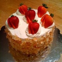Strawberries And Cream Cake Strawberry and Cream cake with toasted coconut sides.