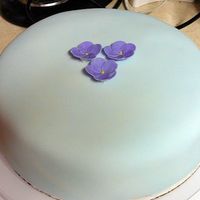 Practice Cake Just practicing with fondant.