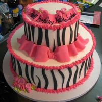 Twins Zebra Surprise 