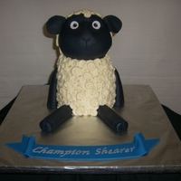 Sheep This was inspired by a cake done by Springlakecake. Stacked and carved from an 11 inch square cake. Fondant with buttercream "wool&...