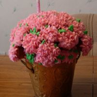 Cupcake Flowers For my mother-in-laws birthday.