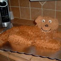 My First Dog Cake I got this idea from a member from this website.. thanks for the instructions.! I made this cake for my twin 4 year old nieces.... I can&#...