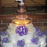 Purple Fountain Wedding 
