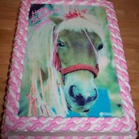 Miniature Horse Birthday 