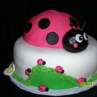 Ladybug Cake For A Little Lady This is a 2 layer chocolate 9" cake covered in fondant. The ladybug is made with a half ball pan. The mom had purchased a ladybug...