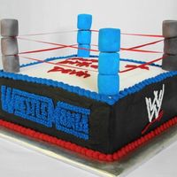 Wrestling Ring - Side View Wrestle Mania, WWE, RAW and Smack Down were on all four sides