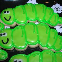 Worm's Close Up Shot! 