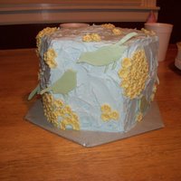 Birds Got the idea from a picture I saw online. Not sure whos design. WASC w/ chocolate mousse and reeses cups.