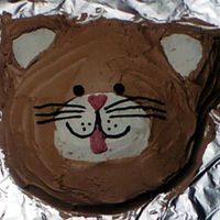 Cat Face Cake Made using the Wilton Animal Crackers pan
