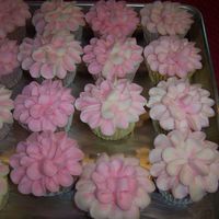 Begonia Cupcakes. 