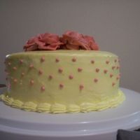 My First Cake The cake is a chocolate mayonaise cake with a classic French Buttercream (Cake Bible). It's filled with raspberry buttercream (...