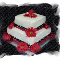 Pink, Black And White dummy cake for craft show