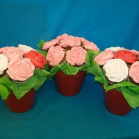 Cupcake Bouquets Used tip 2D to pipe the swirls on my cupcakes.