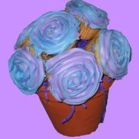 Cupcake Bouquet My first try at the ever popular cupcake bouquet. Thanks CC for all the ideas.