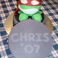 Raphael From Teenage Mutant Ninja Turtles Everything is edible except for the sewer lid which is a souvenir of the event- a college graduation. Sewer was round cakes, head was a...