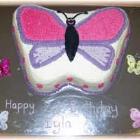 Butterfly Choc cake with bc icing.