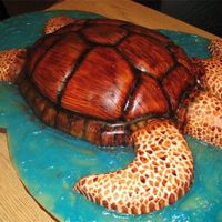 Sea Turtle Fudge marble cake, carved as sea turtle, covered in fondant and hand painted.