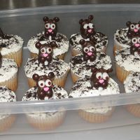 Groundhog Day Cupcakes The instructions for these cupcakes are from Family Fun Magazine's website. The groundhogs are supposed to be Almond Joy bars, but I...