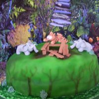Jungle Building Site!!!! 50th Birthday cake for a friend who is a driving instructor, was having a house built in Africa and who liked 'pretty' ... so I...