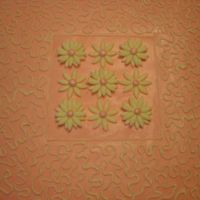 Pink Fondant Cake Chocolate cake with raspberry filling and all pink fondant with cornelli lace and fondant flowers. This was my first time using all fondant...