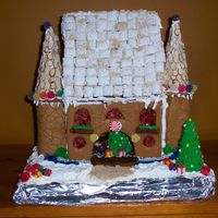 Gingerbread Castle My son won 1st place in local Gingerbread contest. He was able to have adult assistance and my mom and I helped. We were quite pleased with...