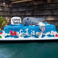 Shark Attack! This was inspired by several cakes on this site - thanks ladies! Done for a co-worker's 2 year old - the whole party was cake inspired...