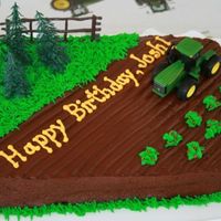 John Deere Quick and easy cake for my son's 7th birthday. Grass, some strawberry plants, and a John Deere topper set.