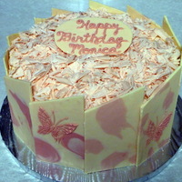 Chocolate Panels My first try at making chocolate panels. Butterfly is a stencil. I tried my hand at making chocolate curls but ended up with shavings....