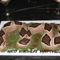 Sculpted Rattlesnake Yellow sheet cake cut and sculpted to a snake. BC frosting.