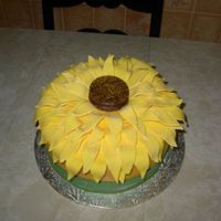 Sunflower Cake I made this cake for my mother's 55th birthday. She loves sunflowers. This was a first for me, cutting all the petals and letting it...