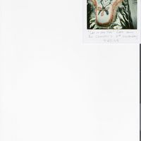 Cat In The Hat I did this cake for my nephew's first birthday. He orginally wanted a space ship, then after I had baked the cake he decided he wanted...