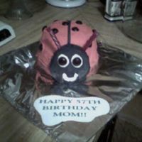 Ladybug Cake This is the best cake I have yet. It all went so smoothly. This was for my mom's birthday. I couldn't believe how much fun I had...
