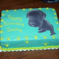 Doggy Cake This was for a good friends step daughter who was tuning 14, she just got a lab puppy so I thought this would be cute. dog is edible image...