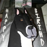 Great Dane This is a white cake, buttercream frosting, and covered with fondant
