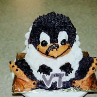 Hokie Bird Cake For steve:)