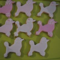 Poodles NFSC with RI