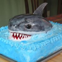 Shark Cake Ooo Ah Ah! My 5th cake. Not perfect, but I was very proud to carry it into the party. I had hubby estimate the weight, about 14 pounds. Even the...