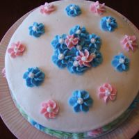 Practice Cake Had my mother and brother over for dinner last night and decided to make a practice cake for spring. This was chocolate cake with vanilla...