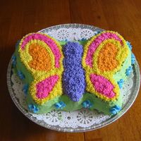 Friends B-Day This was for one of my friends' birthday. she turned 17 and luved it!! its all buttercream and i used a wilton pan for the mold. i put...