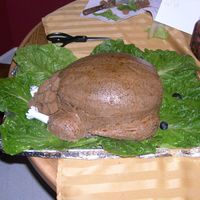 Thanksgiving Day Turkey My first attempt at a turkey cake. My sister in law and I worked on this today, and had so much fun! This is a spice cake with buttercream...