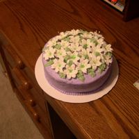 Lilly Birthday Cake French vanilla cake with BC icing. I'm not to confident on how this turned out.